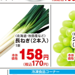 ながねぎ