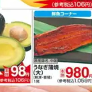 うなぎの蒲焼き