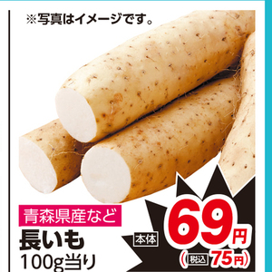 ながいも