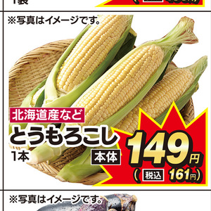 とうもろこし