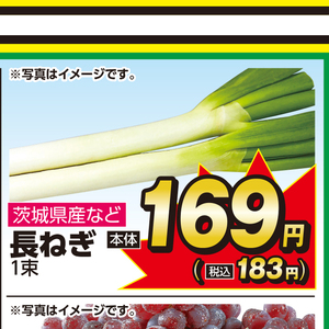 ながねぎ