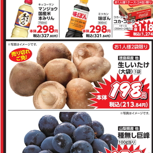 しいたけ