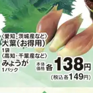 みょうが
