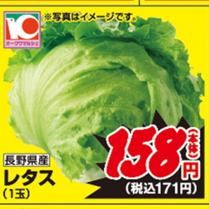 レタス