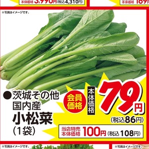 こまつ菜