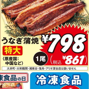 うなぎの蒲焼き