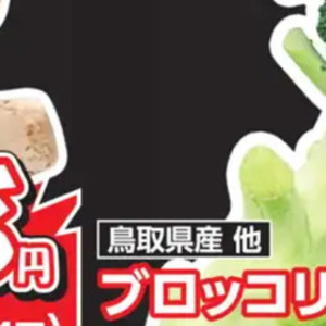 その他魚介刺身