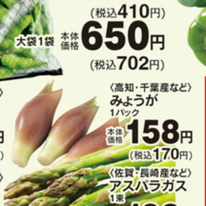 みょうが