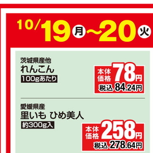 レンコン