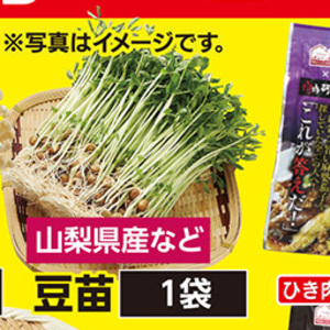 豆苗