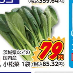 こまつ菜