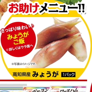 みょうが
