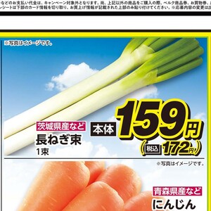 ながねぎ