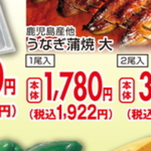 うなぎの蒲焼き