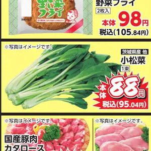 こまつ菜