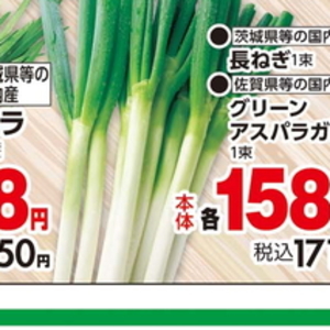 ながねぎ