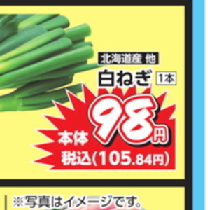 ながねぎ