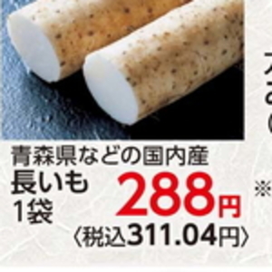 ながいも