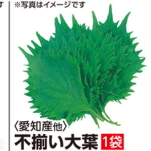 おおば