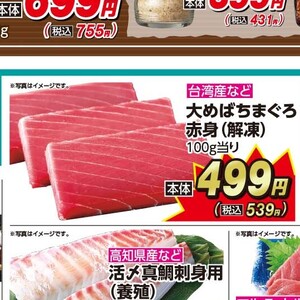 まぐろ赤身