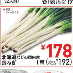 ながねぎ