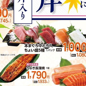 まぐろ中とろ