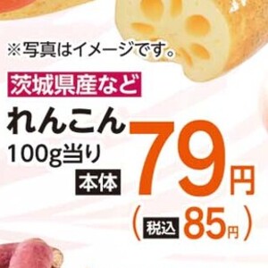 レンコン