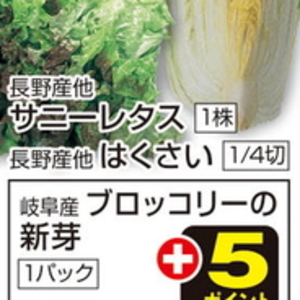 はくさい