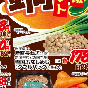 ながねぎ