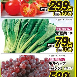 こまつ菜