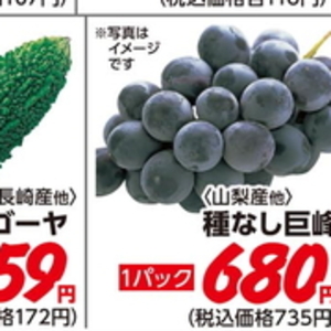 ゴーヤ