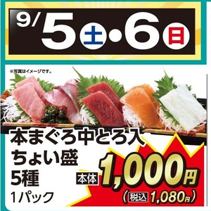 まぐろ中とろ
