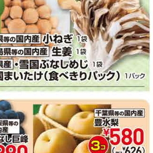 まいたけ