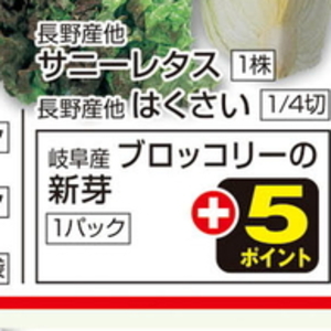 ブロッコリースプラウト