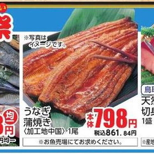うなぎの蒲焼き