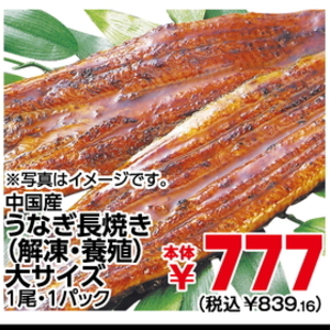 うなぎの蒲焼き