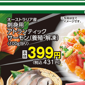 サーモン（さく取り）