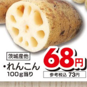 レンコン