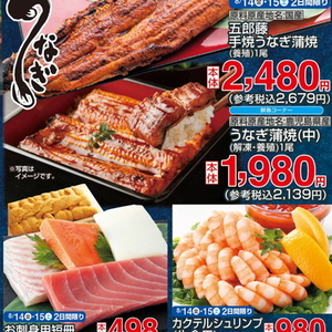 うなぎの蒲焼き