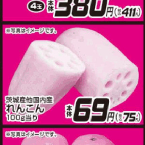 レンコン