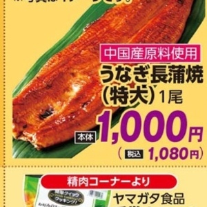 うなぎの蒲焼き