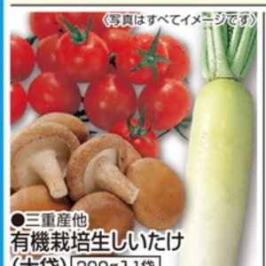 だいこん