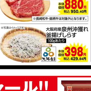 しらす