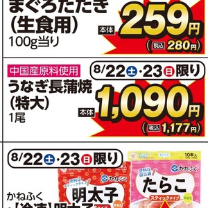 うなぎの蒲焼き