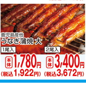 うなぎの蒲焼き