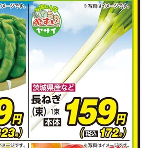 ながねぎ