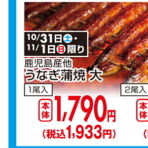 うなぎの蒲焼き
