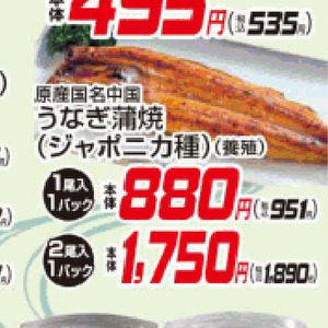 うなぎの蒲焼き