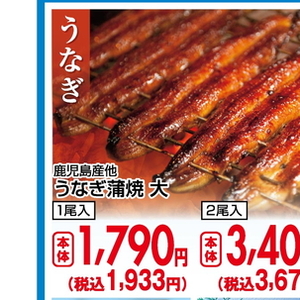 うなぎの蒲焼き