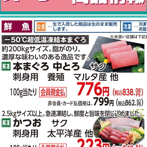 まぐろ中とろ